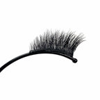 432991A2-204C-48C0-9180-D4F869CE1A0E