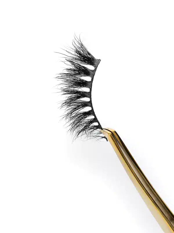 IMG_0682_998558c7-8342-4c70-84c1-4f49060541a4