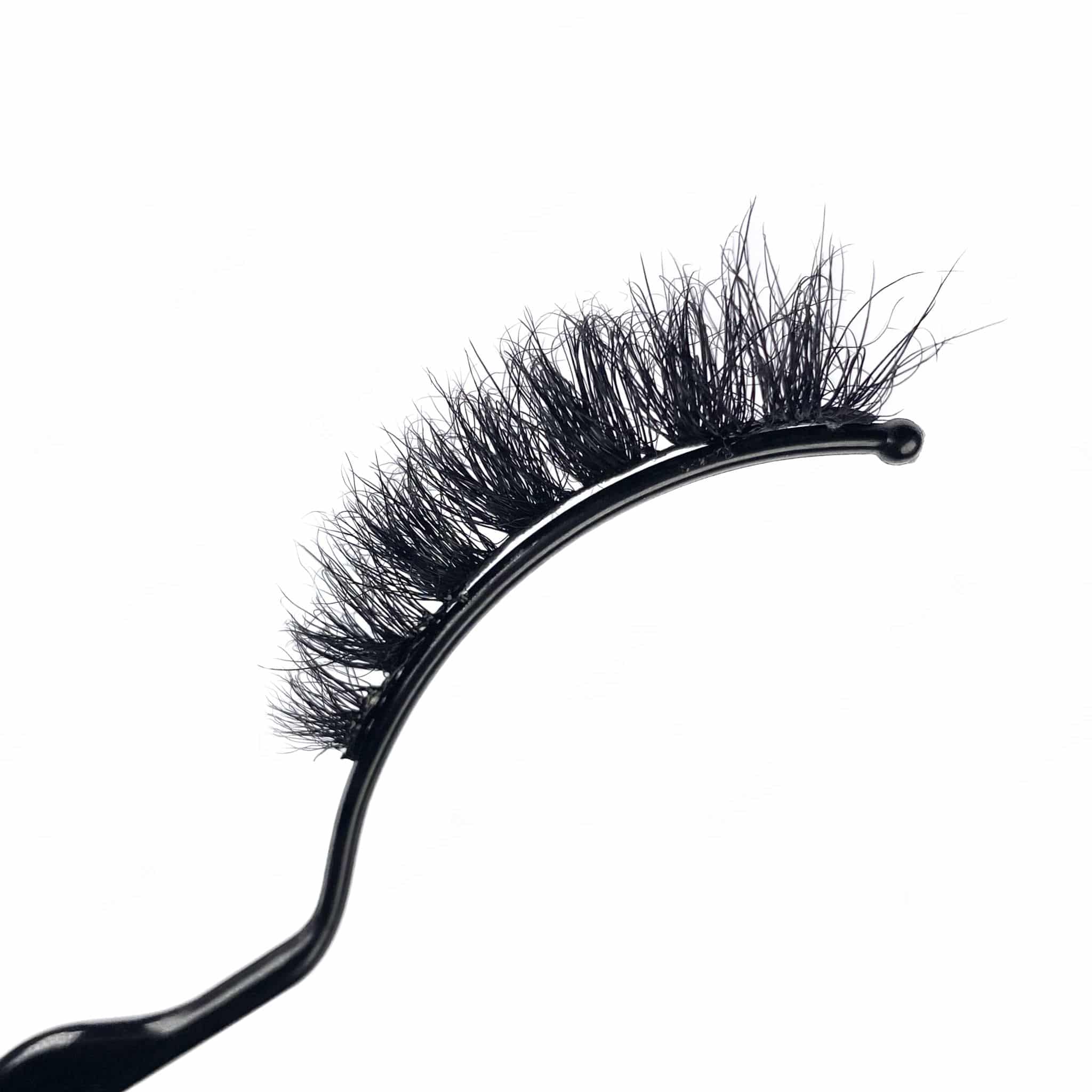 Untitled design (13)