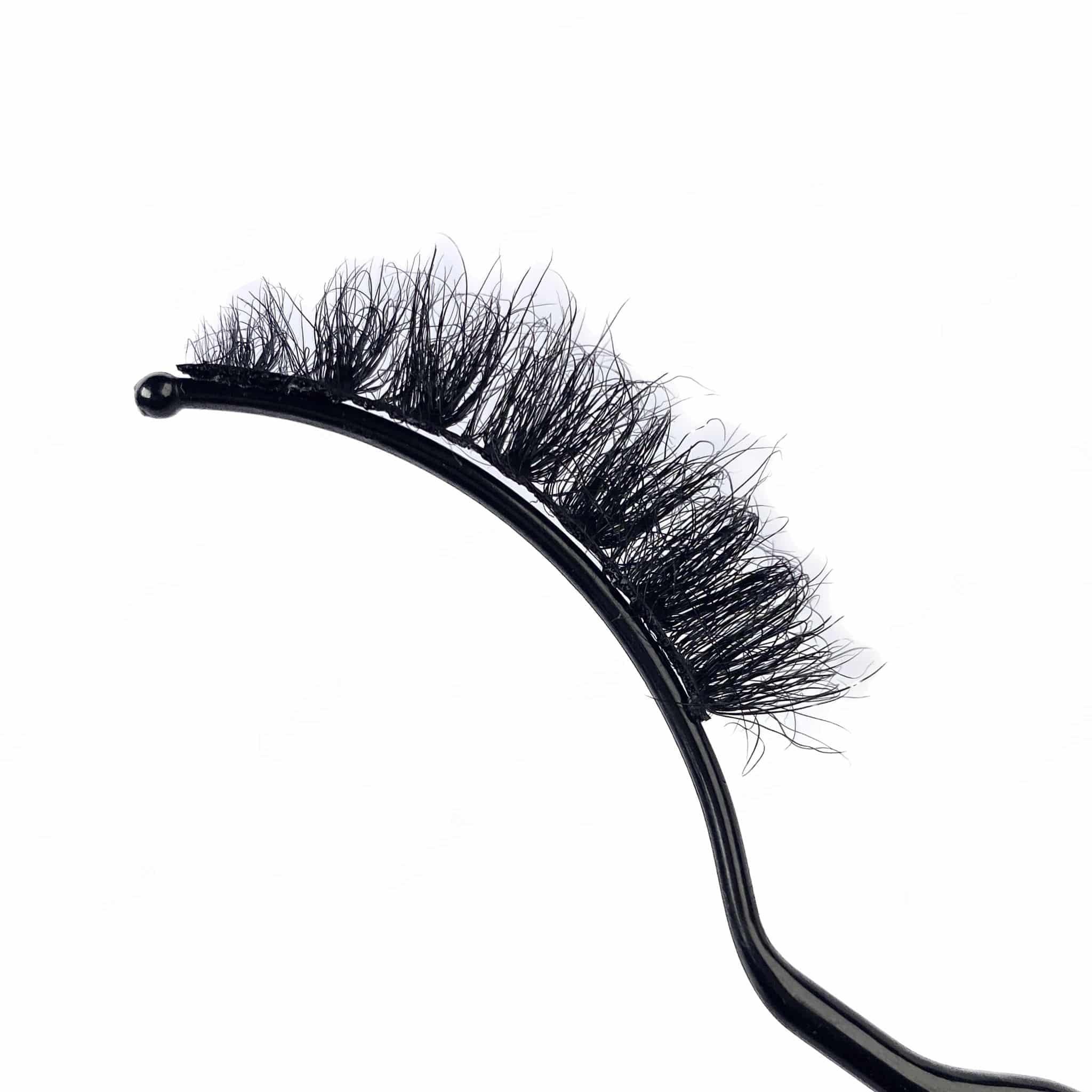 Untitled design (14)